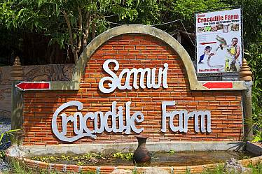 图片[3]-Samui Crocodile Farm – Koh Samui - Ayany Travel-Ayany Travel