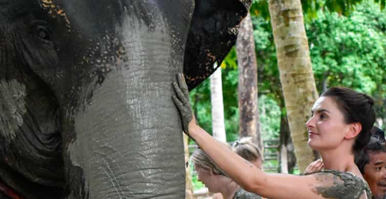 图片[2]-🐘 Elephant Sanctuary Day Tour in Koh Samui 🌿 - Ayany Travel-Ayany Travel