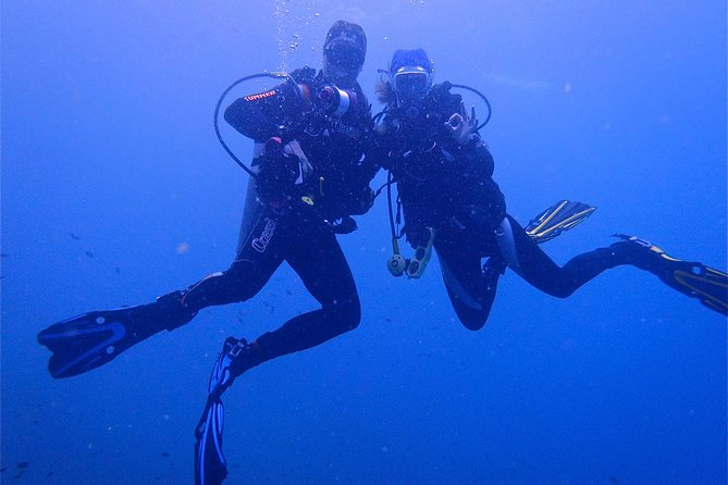 图片[5]-🌊 Koh Samui Scuba Diving Experience Day Tour 🐠🤿 - Ayany Travel-Ayany Travel