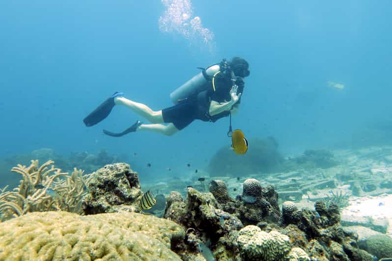 图片[4]-🌊 Koh Samui Scuba Diving Experience Day Tour 🐠🤿 - Ayany Travel-Ayany Travel