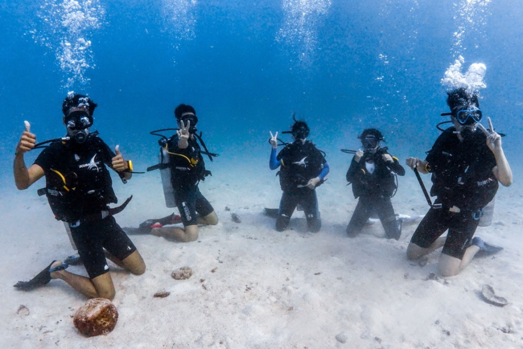 图片[3]-🌊 Koh Samui Scuba Diving Experience Day Tour 🐠🤿 - Ayany Travel-Ayany Travel