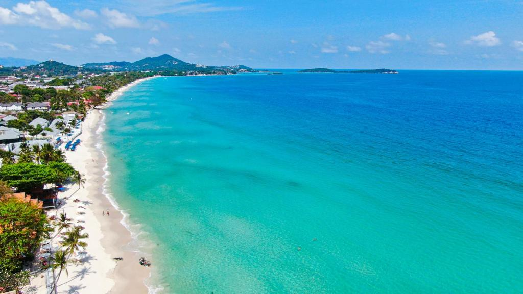 7-Day Romantic Getaway in Koh Samui 🌴✨ | The Ultimate Couple’s Paradise - Ayany Travel-Ayany Travel