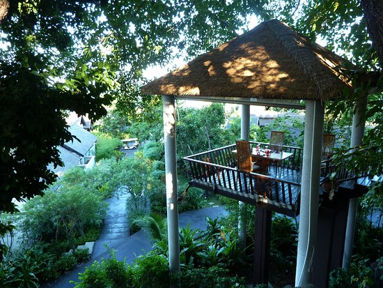 ✨ Tree Tops Sky Dining & Bar: Elevated Dining Experience in Koh Samui ✨ - Ayany Travel-Ayany Travel