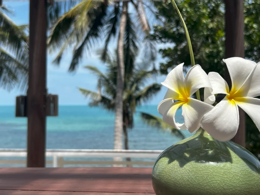 图片[10]-Bhundhari Resort & Villas Samui Gallary-Ayany