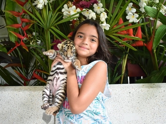 Zoo & Aquarium